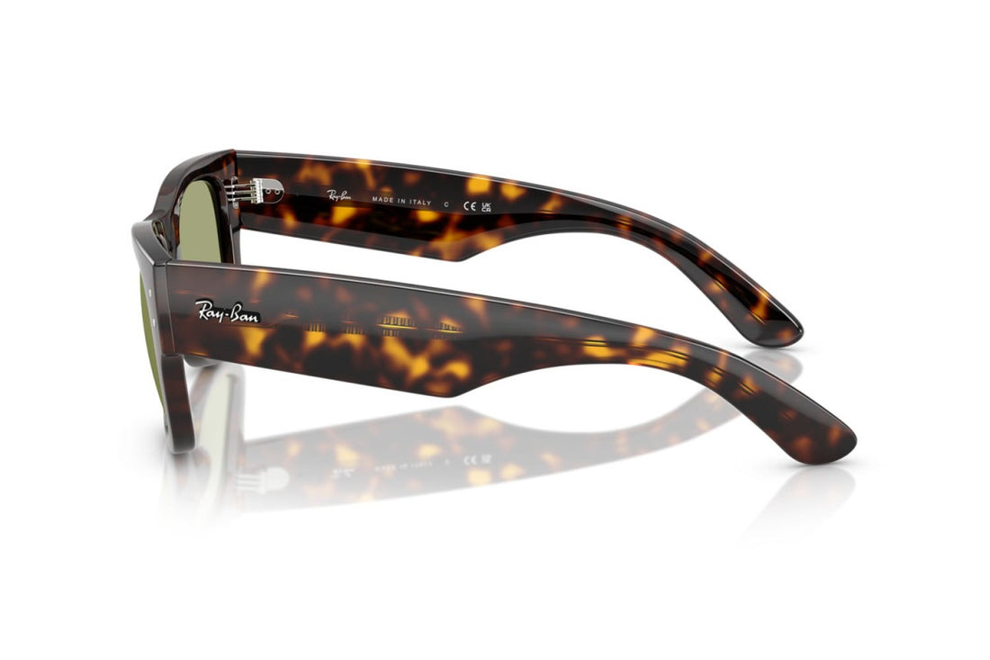 RAYBAN RB0840S