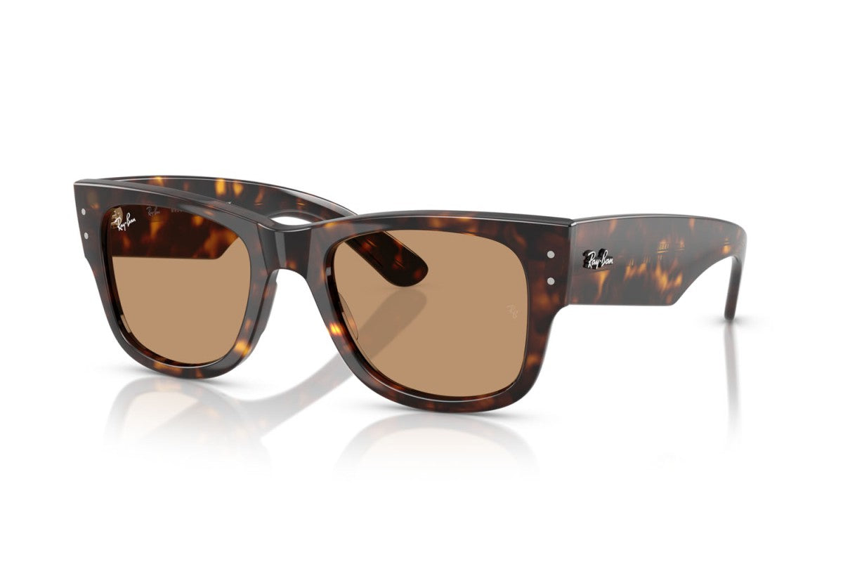 RAYBAN RB0840S