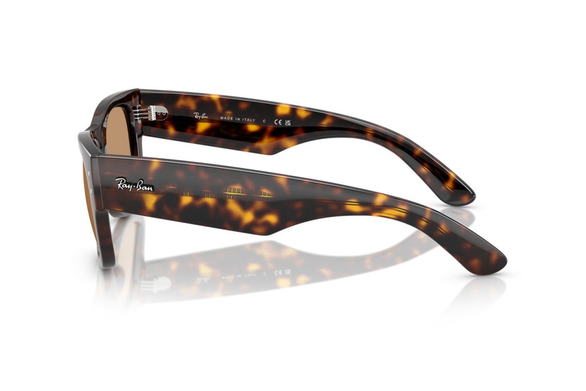 RAYBAN RB0840S