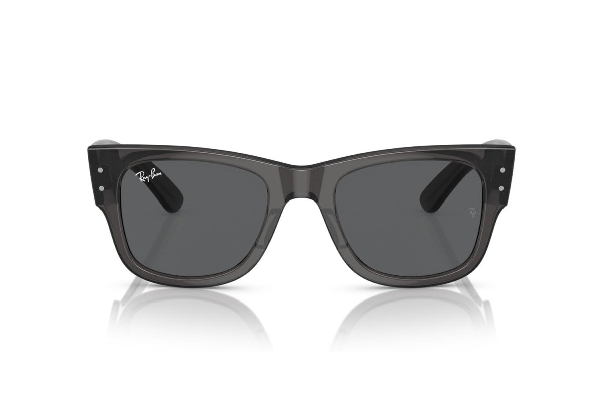 RAYBAN RB0840S