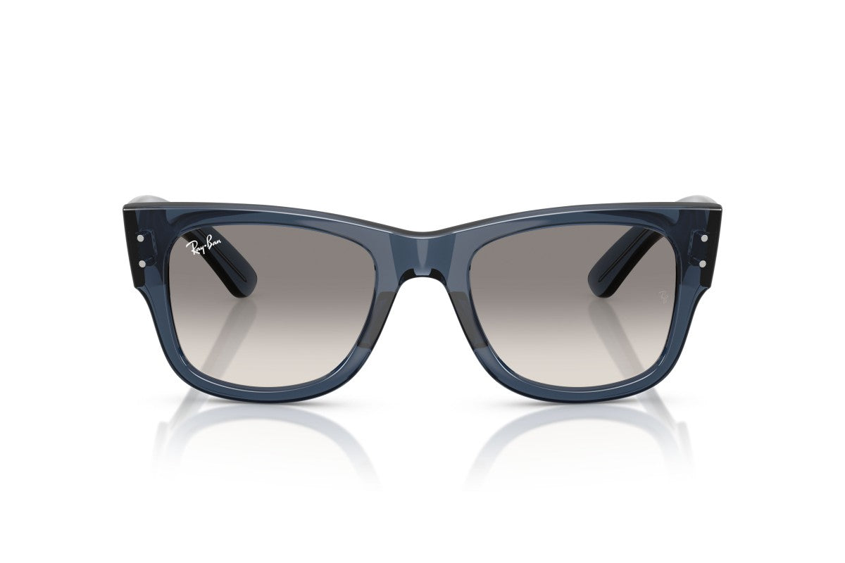RAYBAN RB0840S