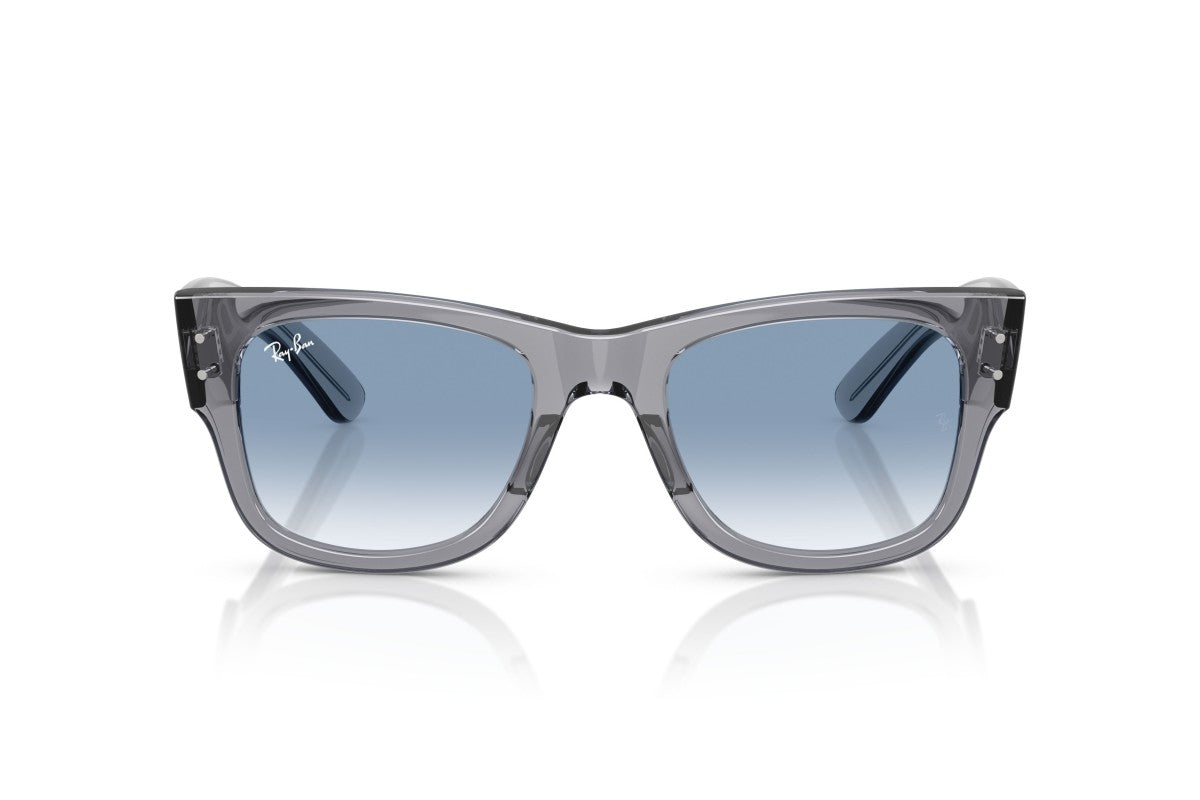 RAYBAN RB0840S
