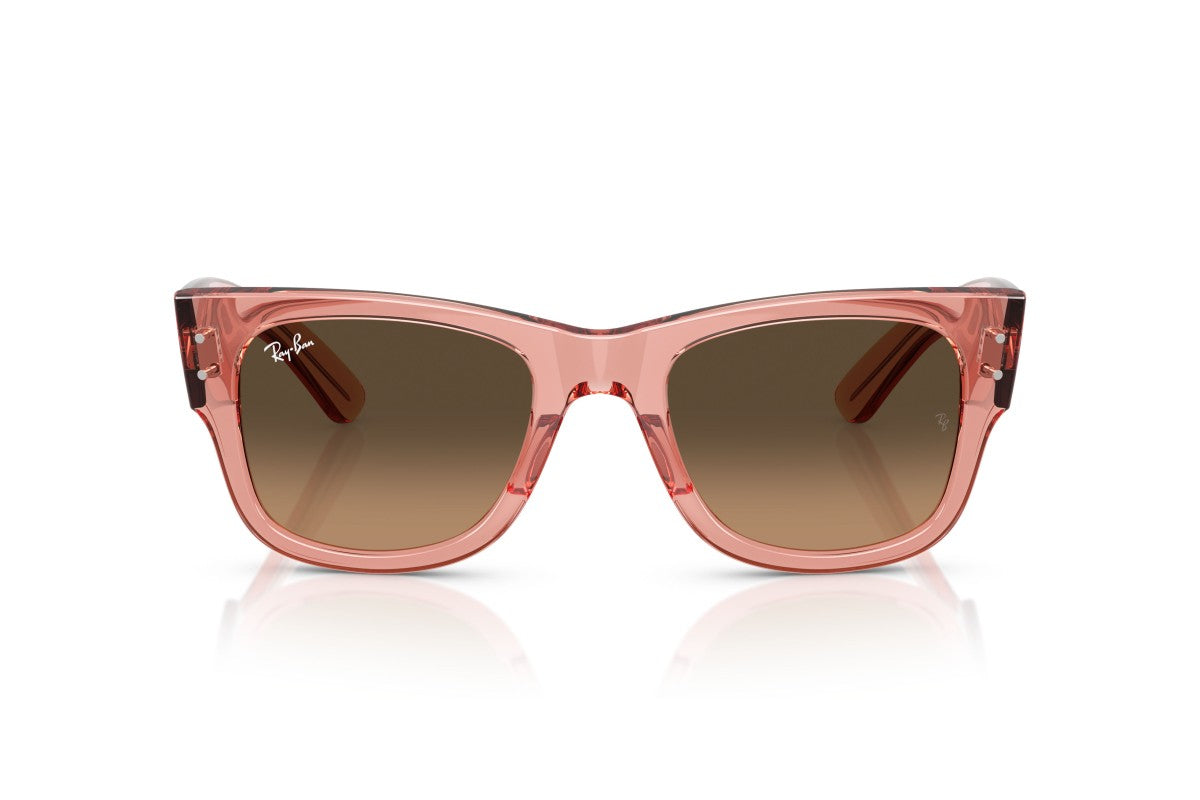 RAYBAN RB0840S
