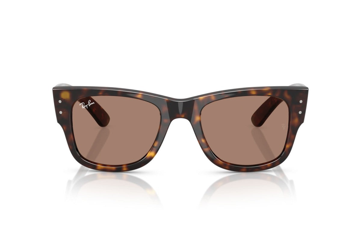 RAYBAN RB0840S
