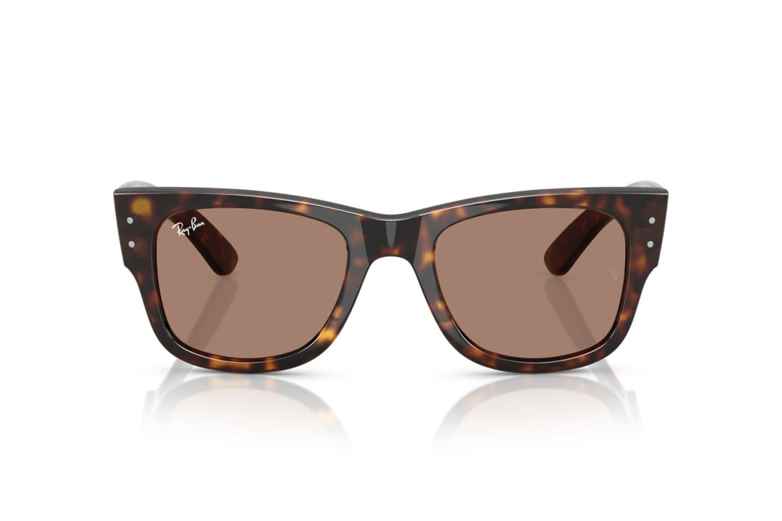 RAYBAN RB0840S