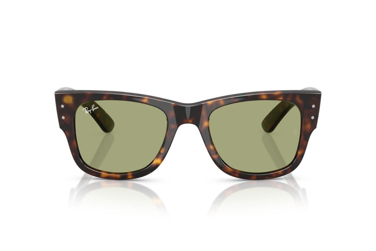 RAYBAN RB0840S