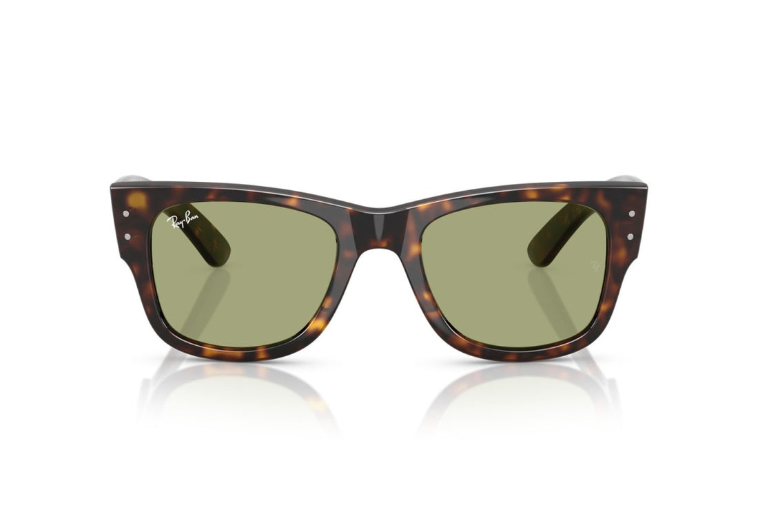 RAYBAN RB0840S