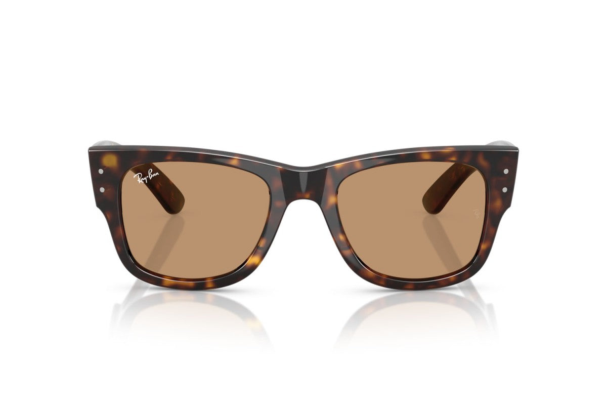 RAYBAN RB0840S