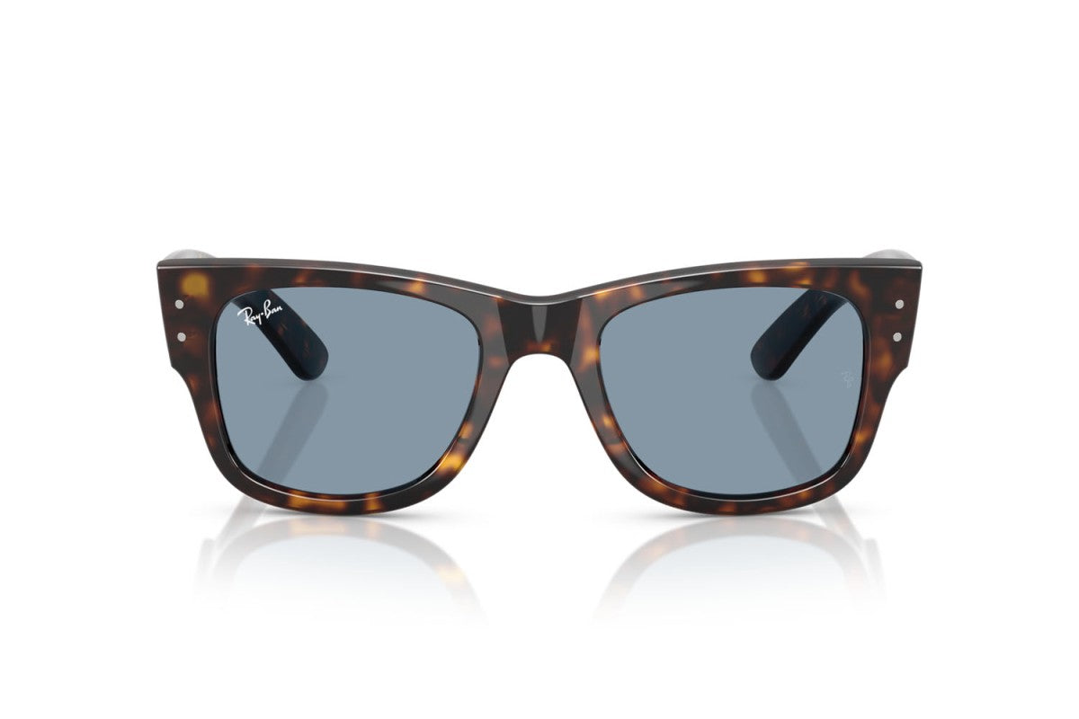 RAYBAN RB0840S