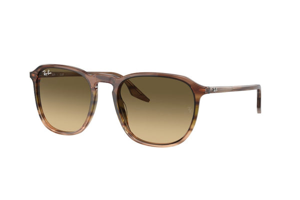 RayBan RB2203