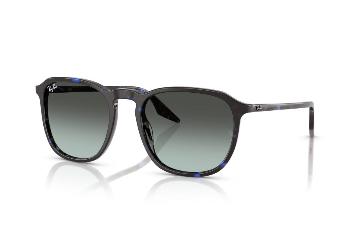RayBan RB2203
