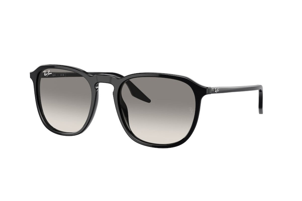 RayBan RB2203