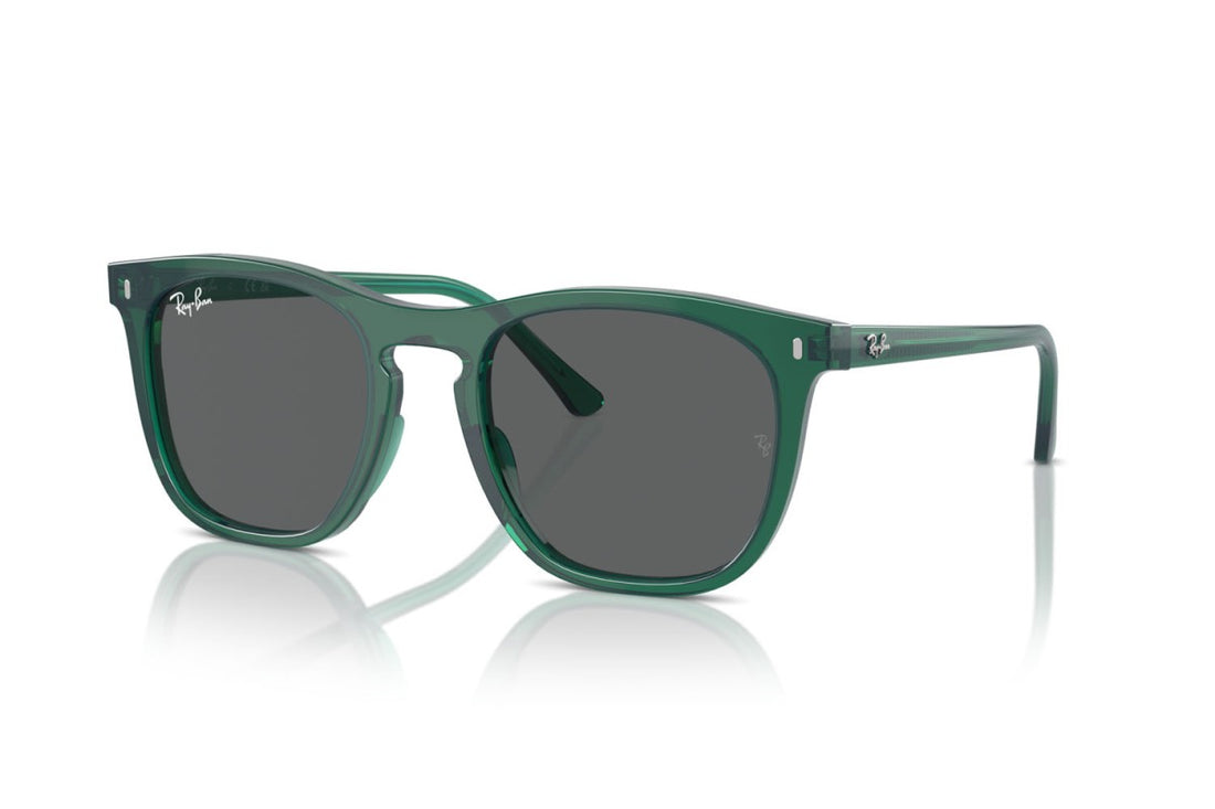 RAYBAN RB2210