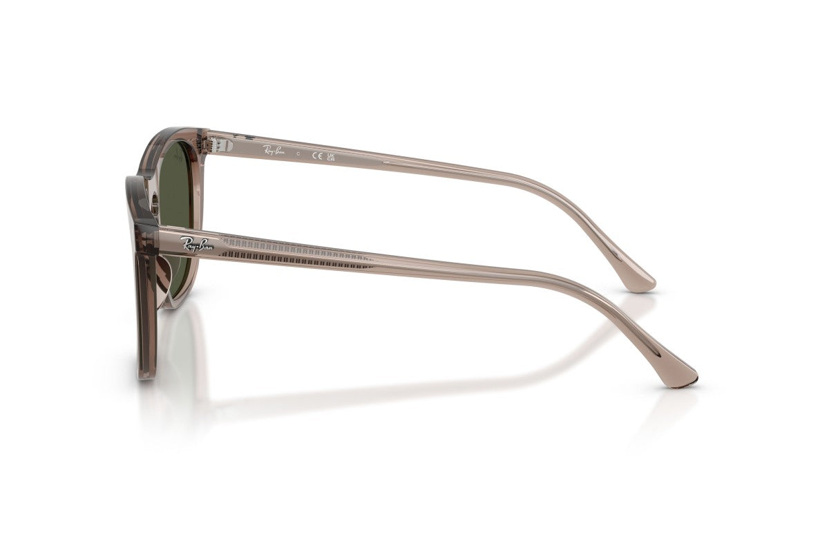 RAYBAN RB2210