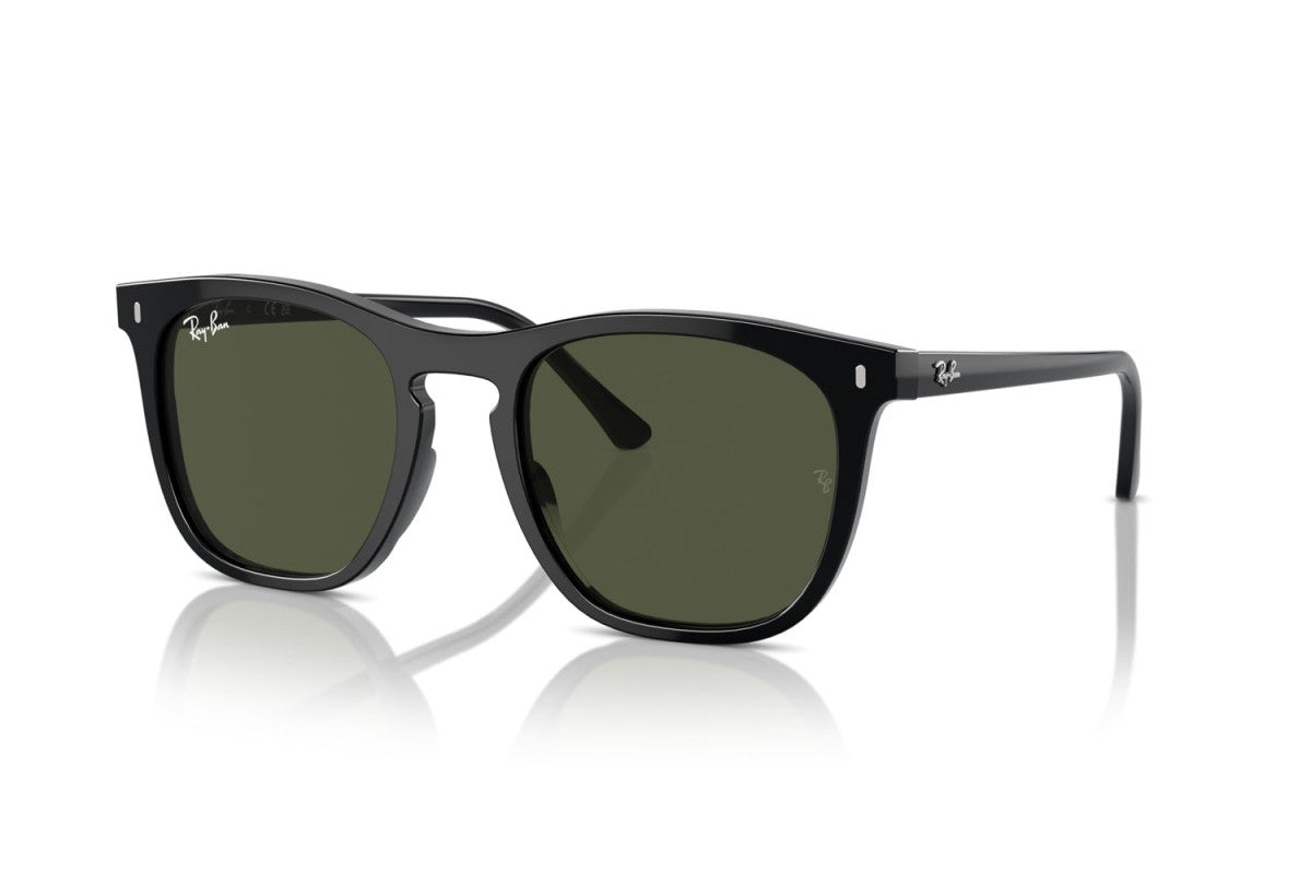 RAYBAN RB2210