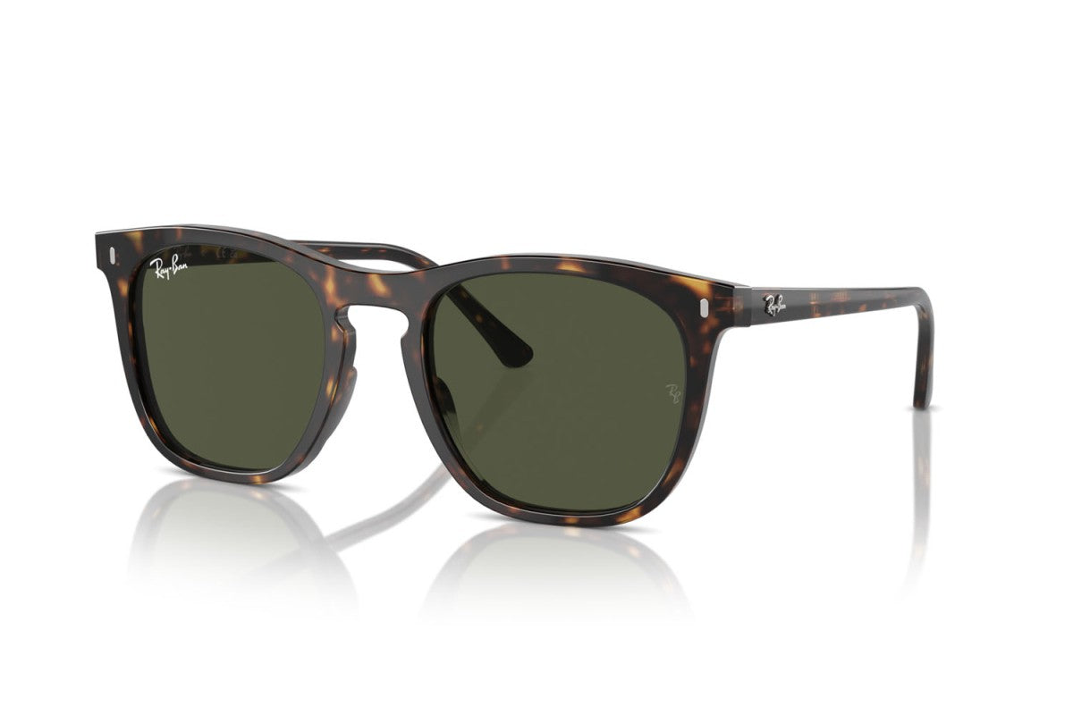 RAYBAN RB2210
