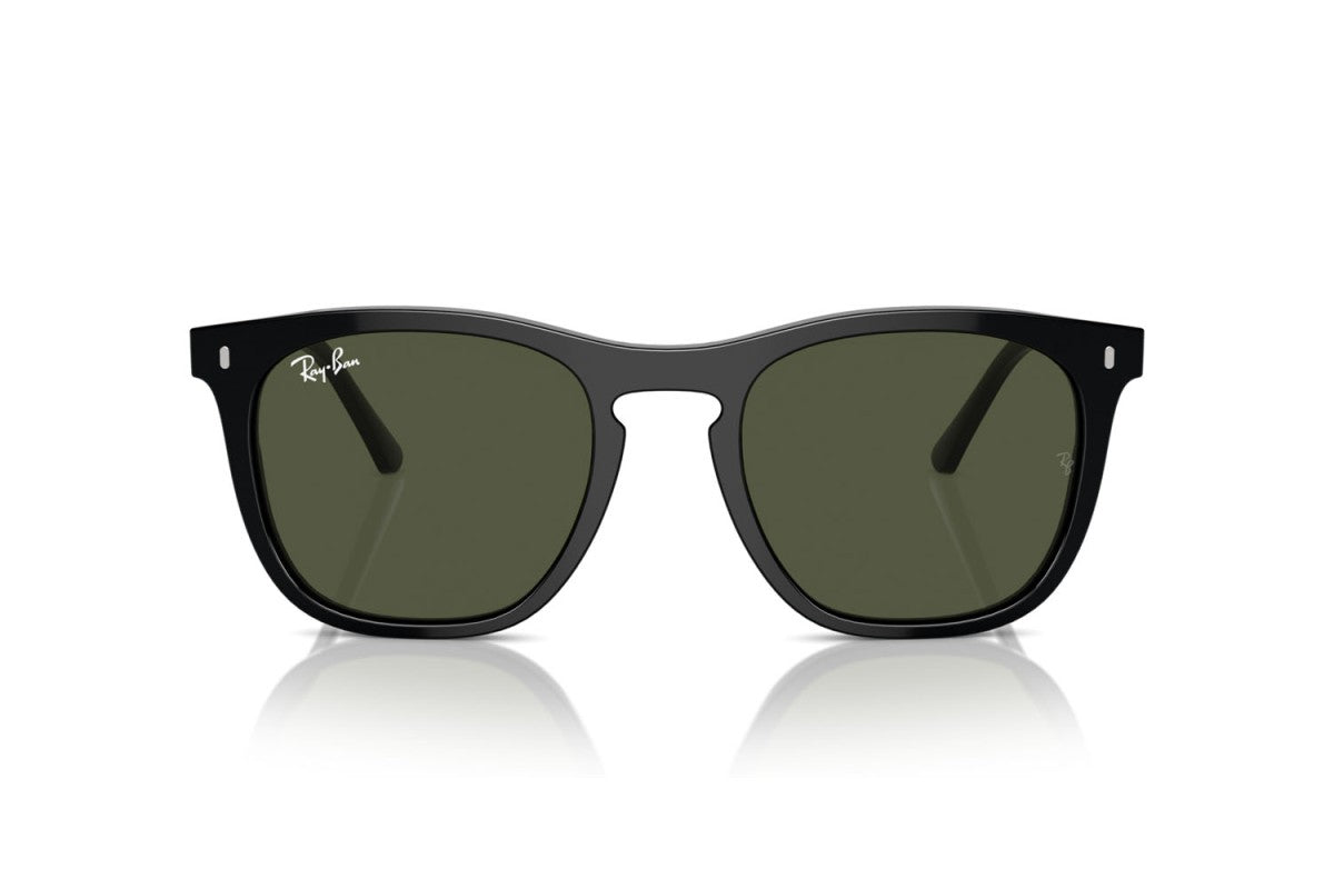 RAYBAN RB2210