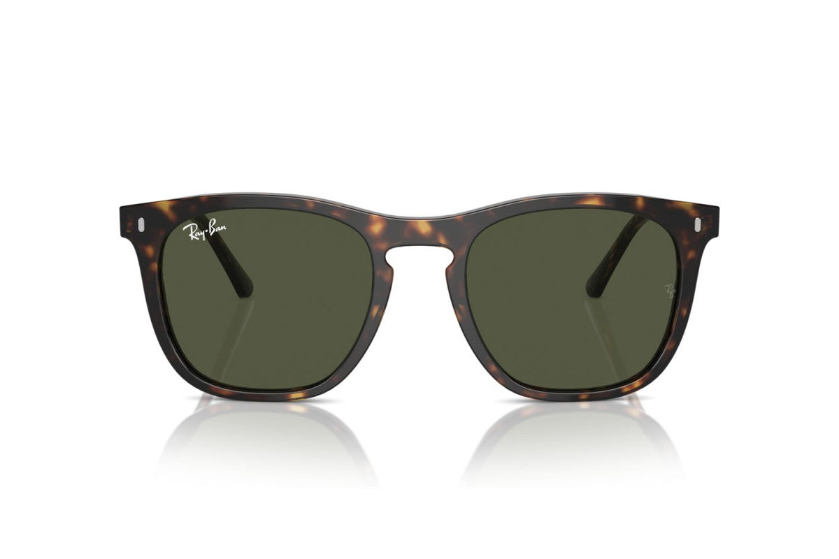 RAYBAN RB2210