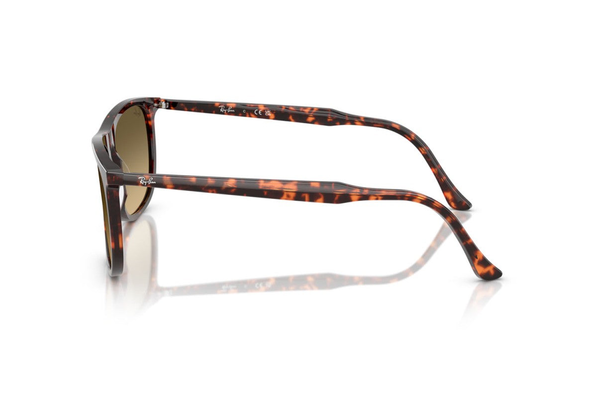 RayBan RB2216