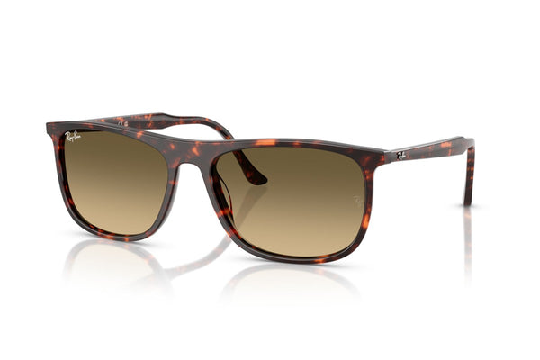 RayBan RB2216