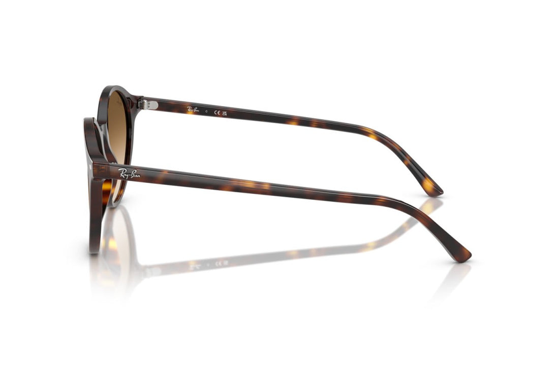 RayBan RB2230