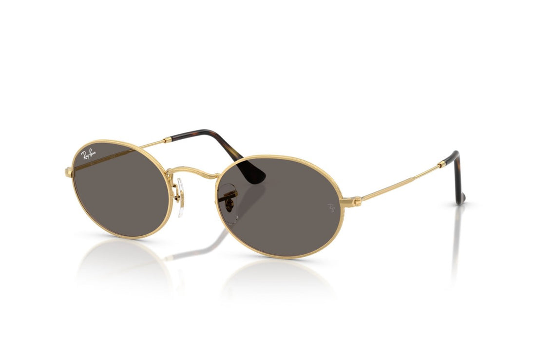 RAYBAN RB3547N