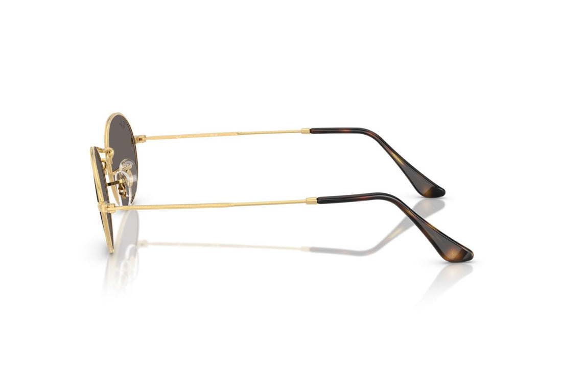 RAYBAN RB3547N