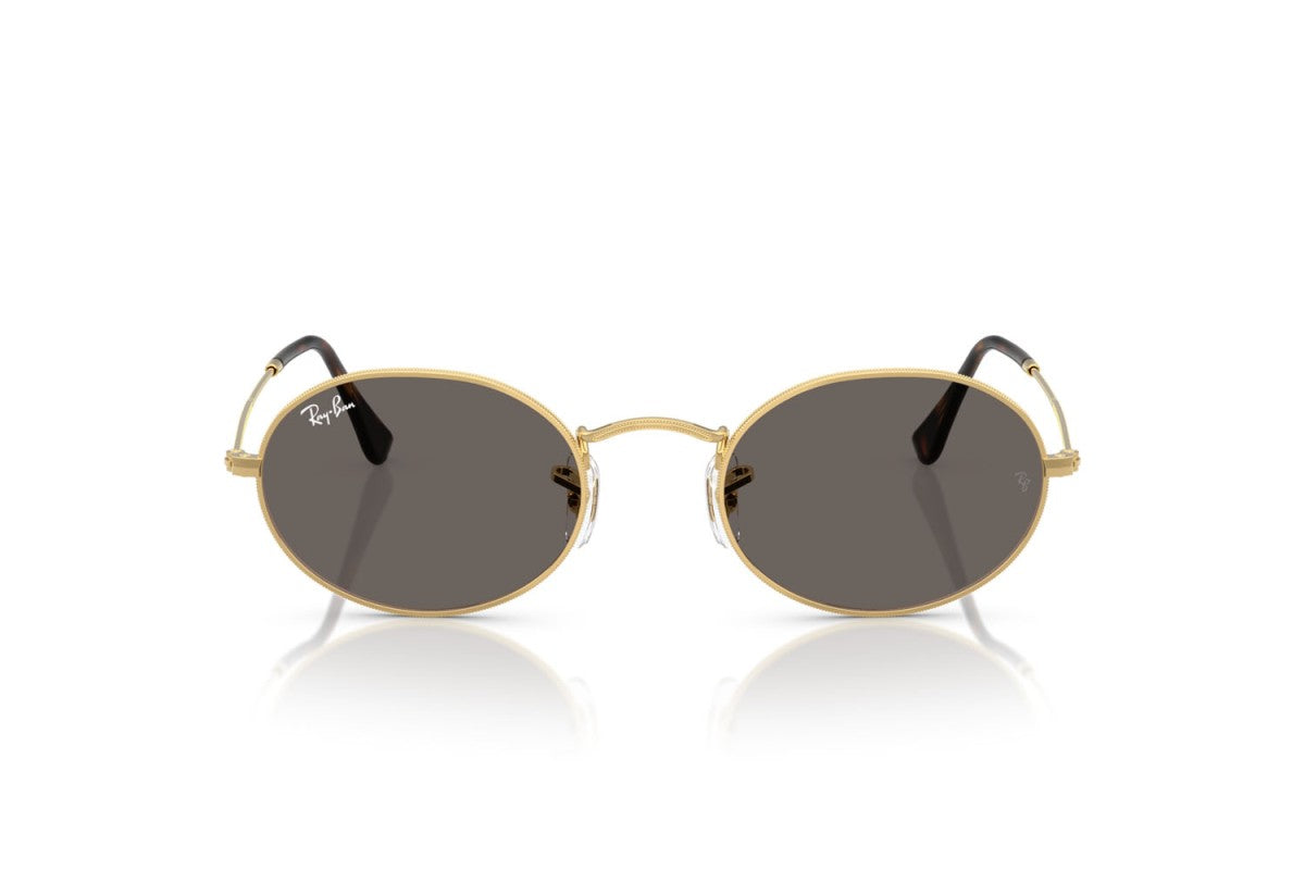 RAYBAN RB3547N