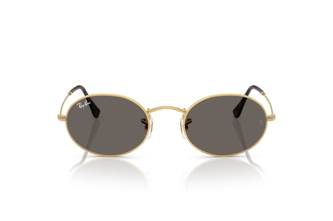 RAYBAN RB3547N