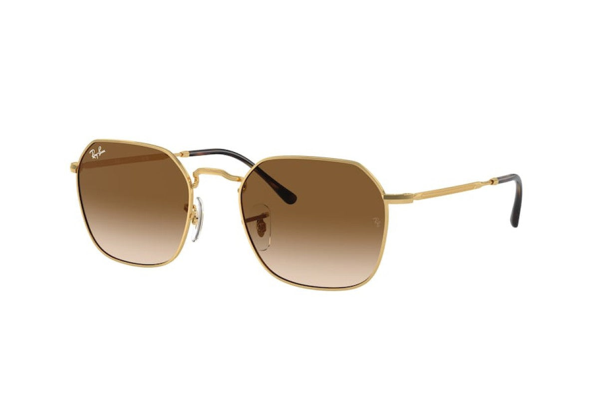 RayBan RB3694
