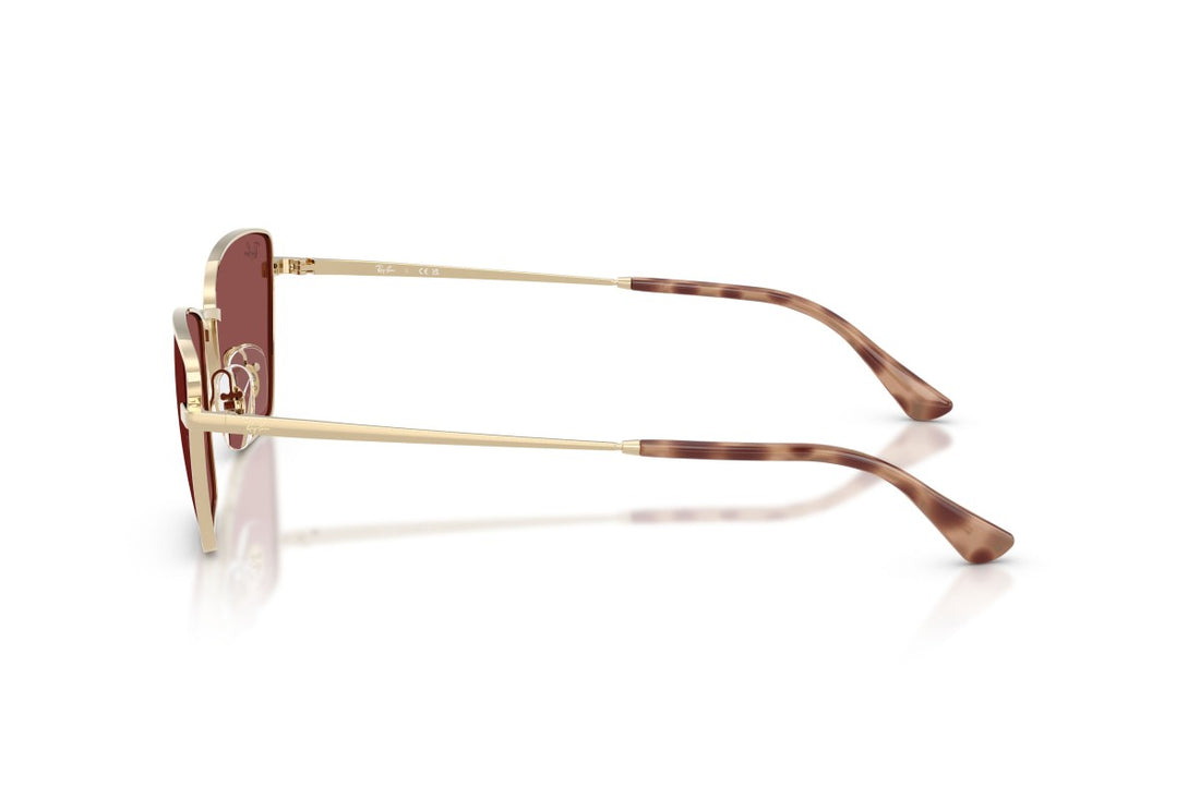RAYBAN RB3783