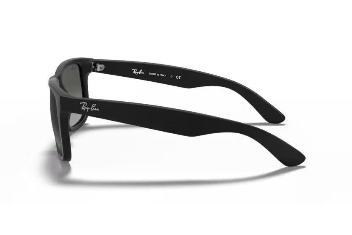 RAYBAN RB4165