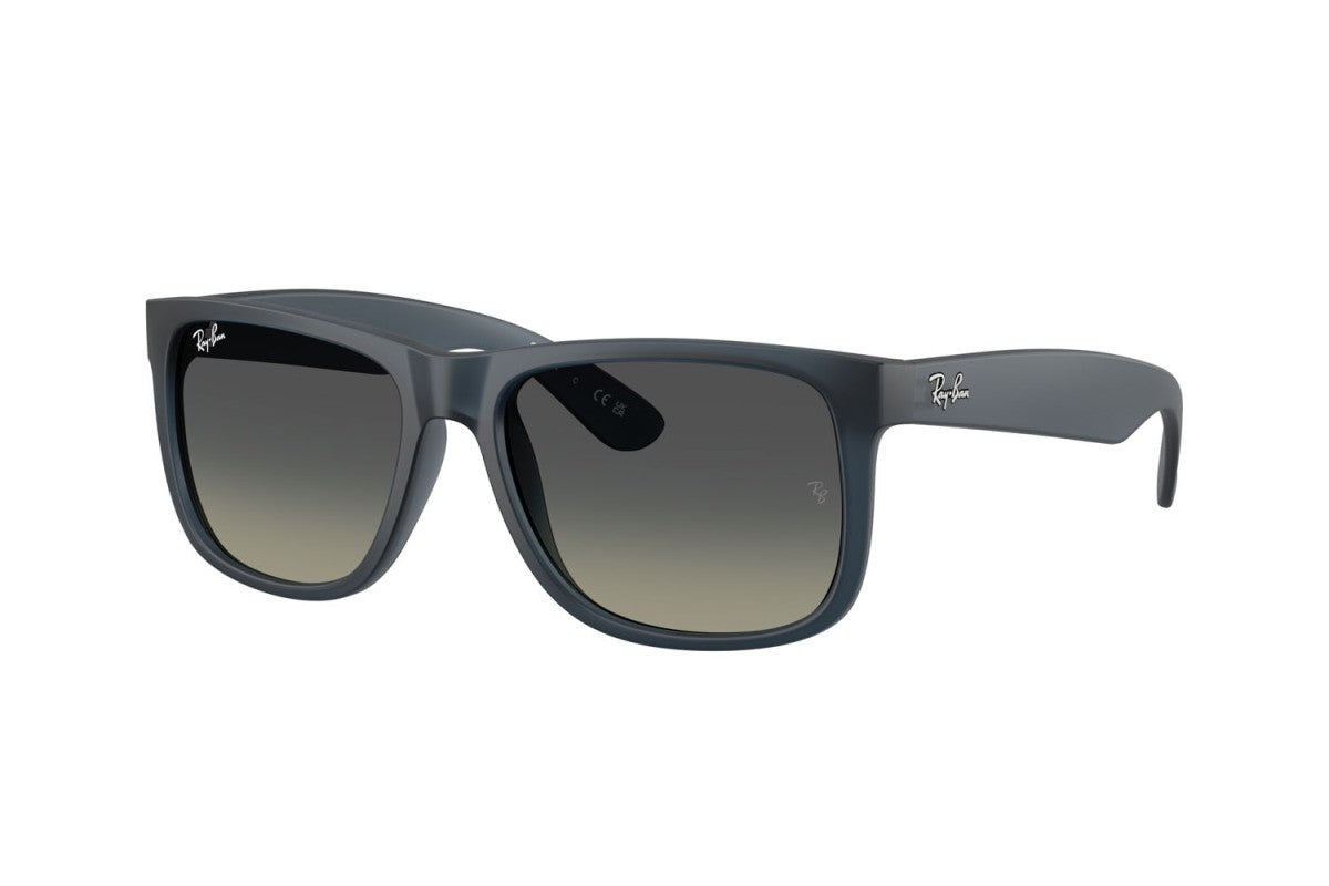 RAYBAN RB4165
