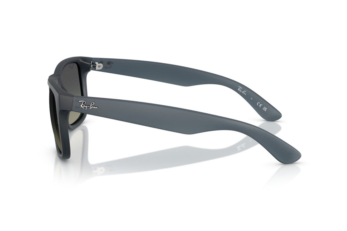 RAYBAN RB4165
