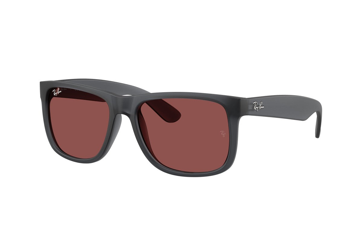 RAYBAN RB4165