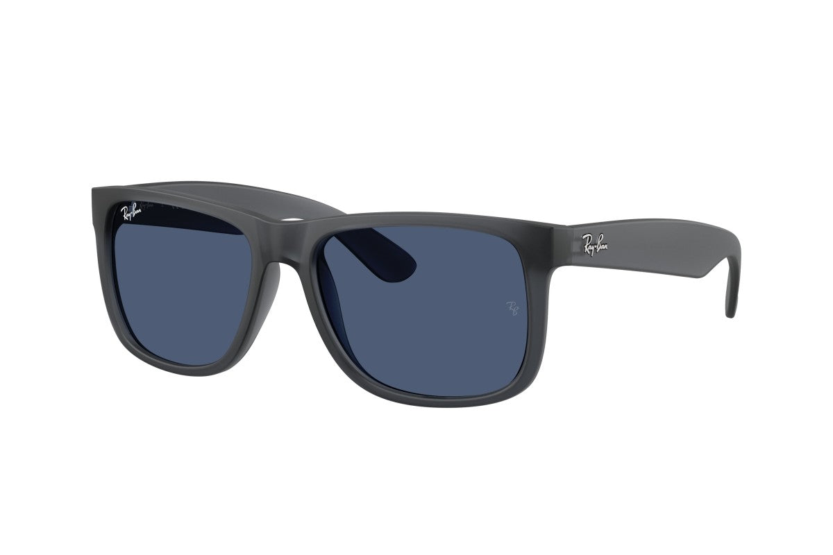RAYBAN RB4165