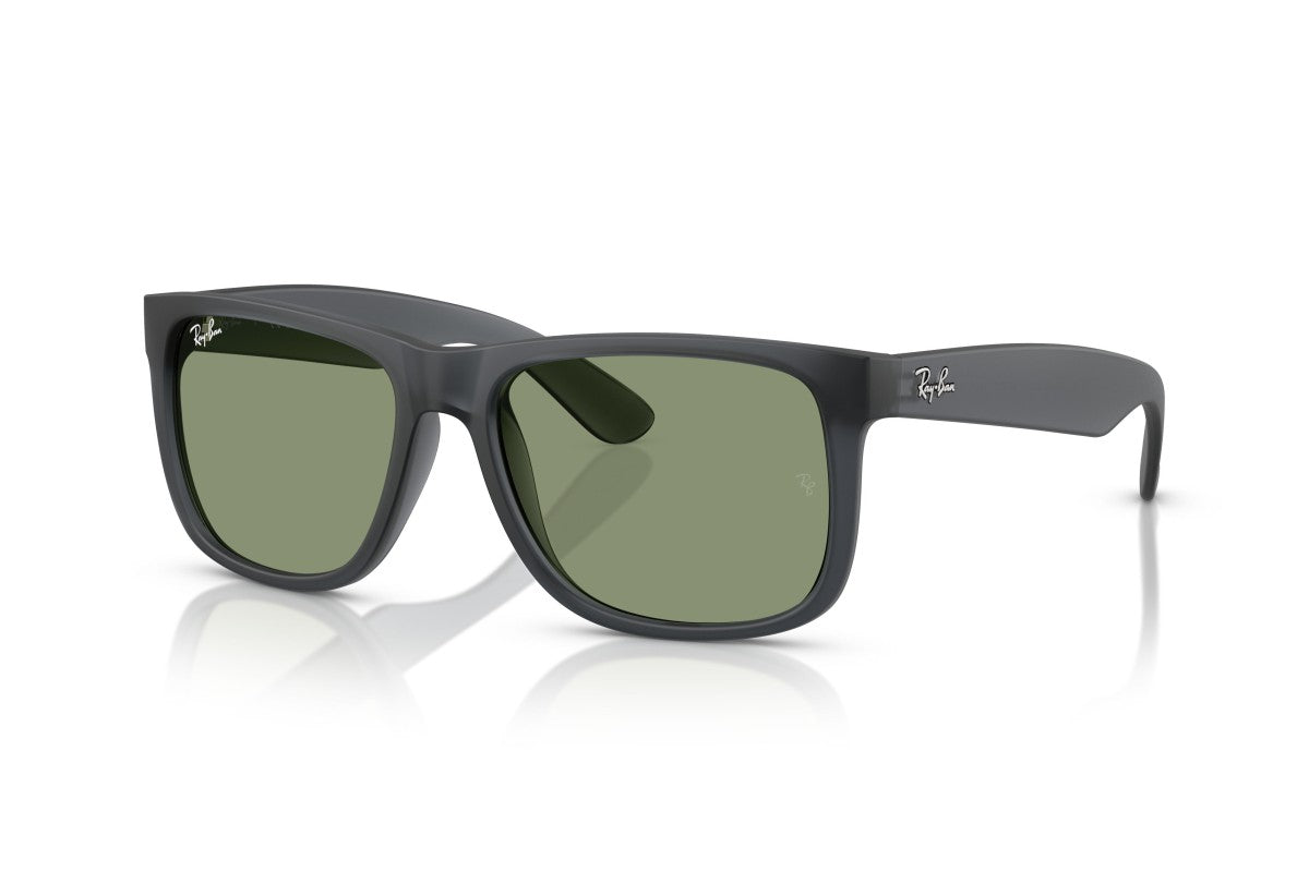 RAYBAN RB4165
