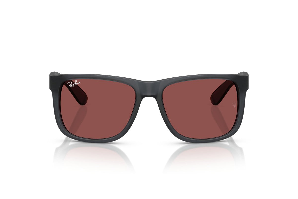 RAYBAN RB4165