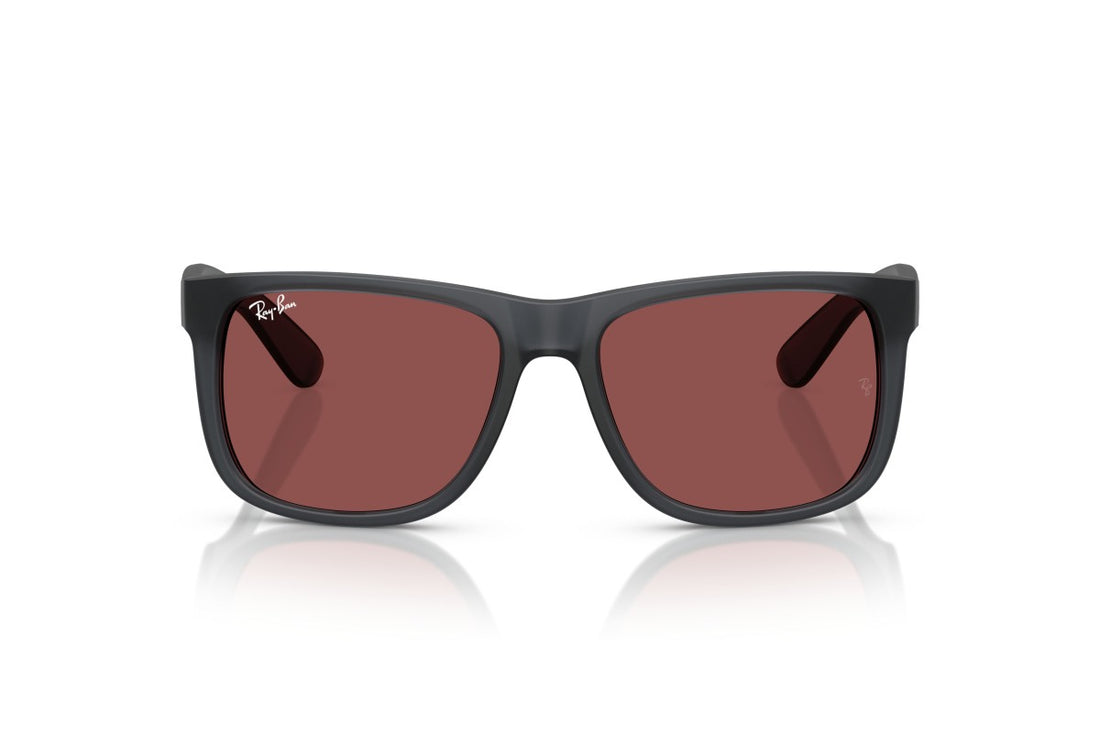 RAYBAN RB4165