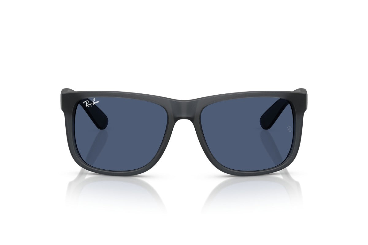 RAYBAN RB4165