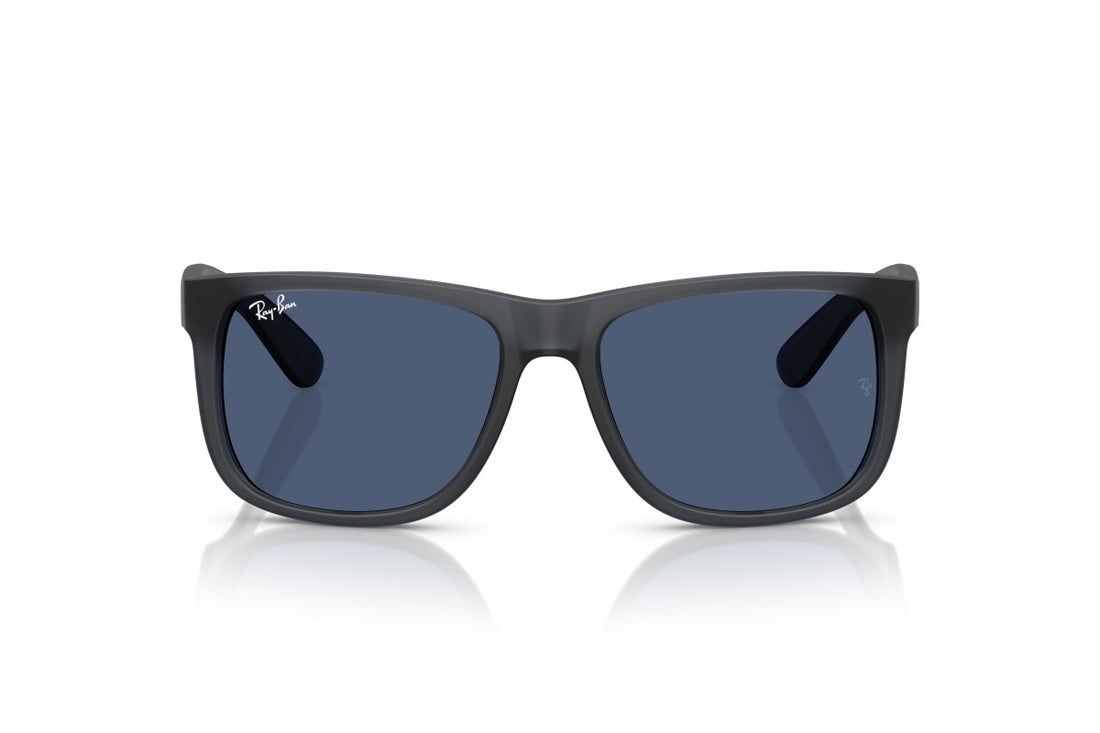 RAYBAN RB4165