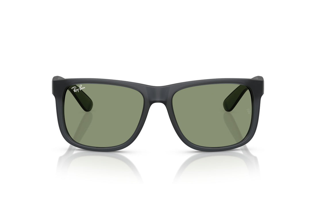 RAYBAN RB4165