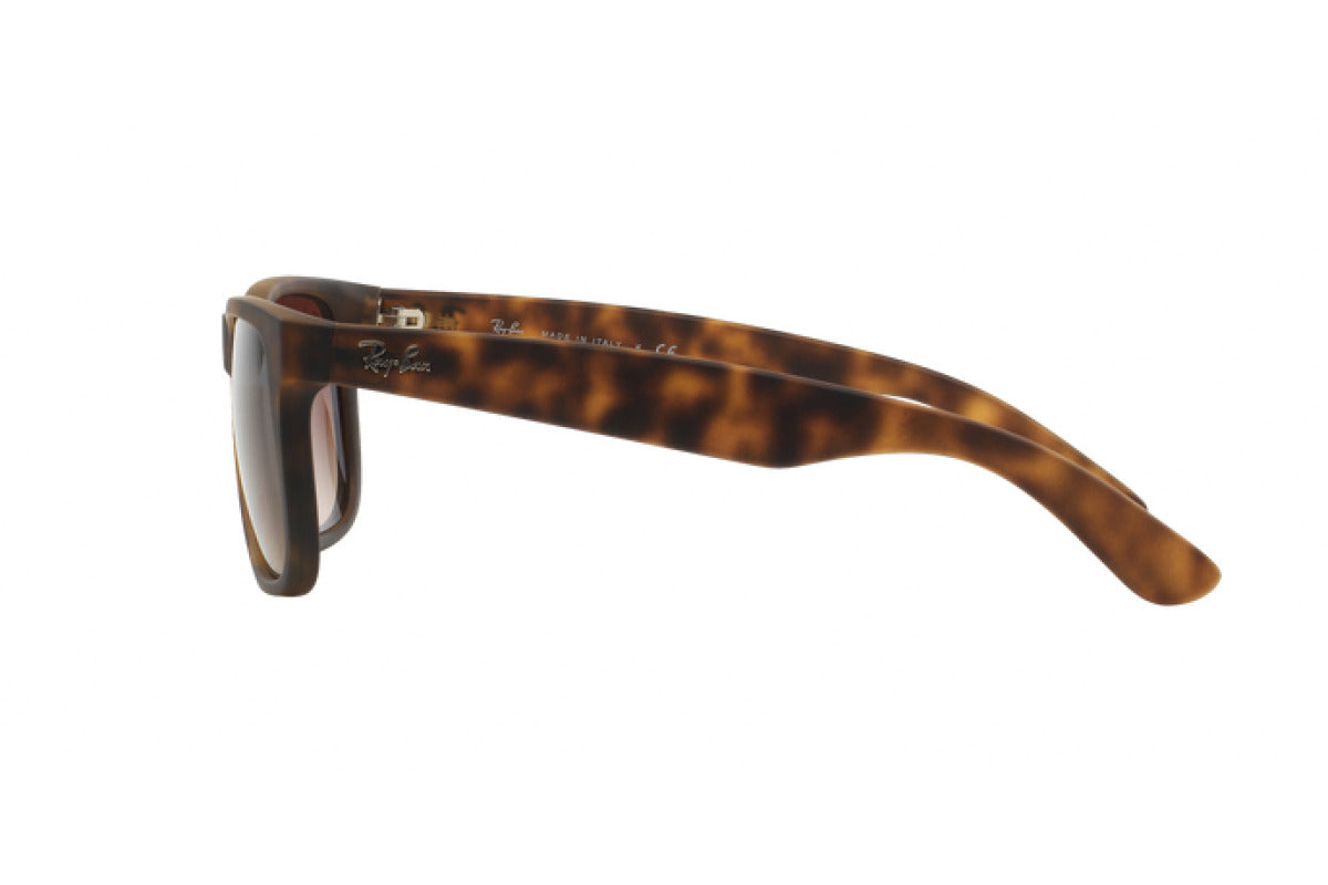 RAYBAN RB4165