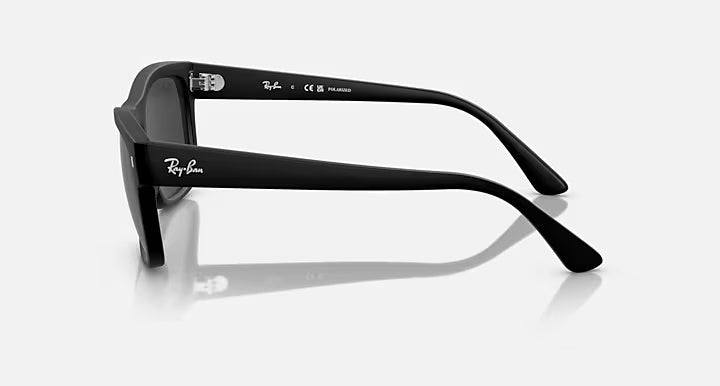 RAYBAN RB4428