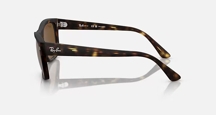 RAYBAN RB4428