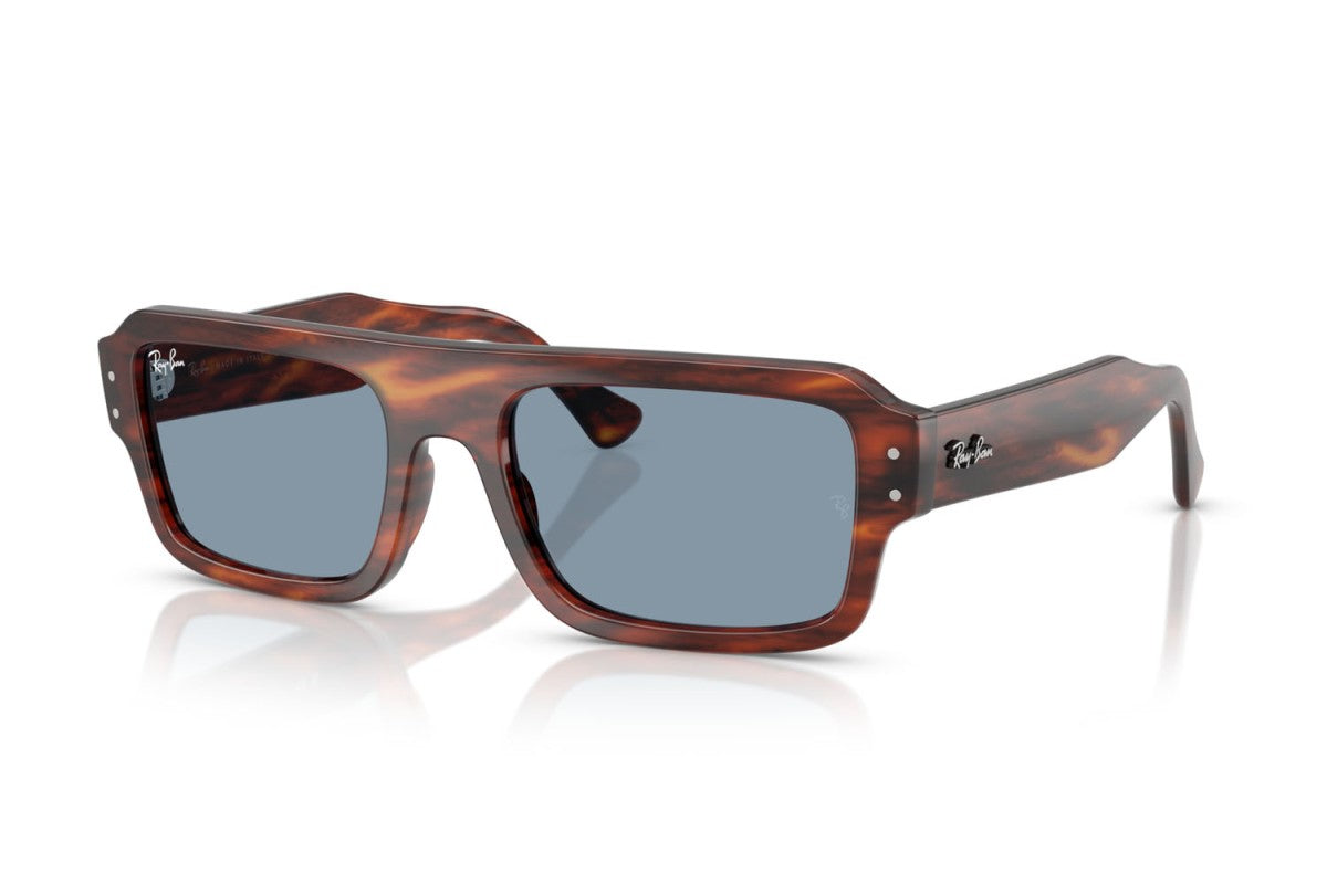 RAYBAN RB4454