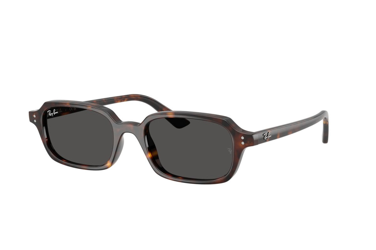 RAYBAN RB4455
