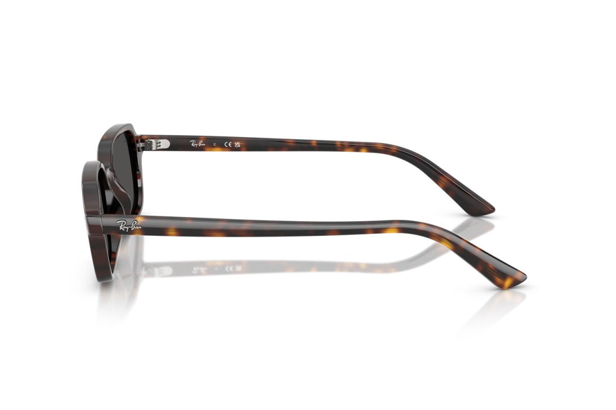 RAYBAN RB4455