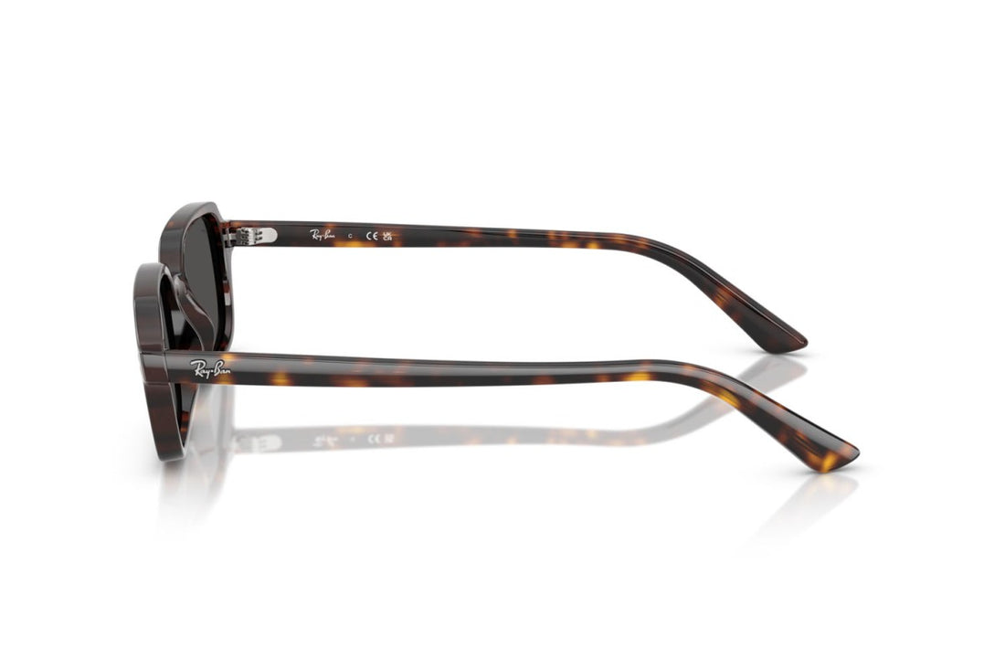 RAYBAN RB4455