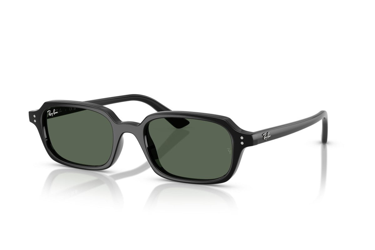 RAYBAN RB4455